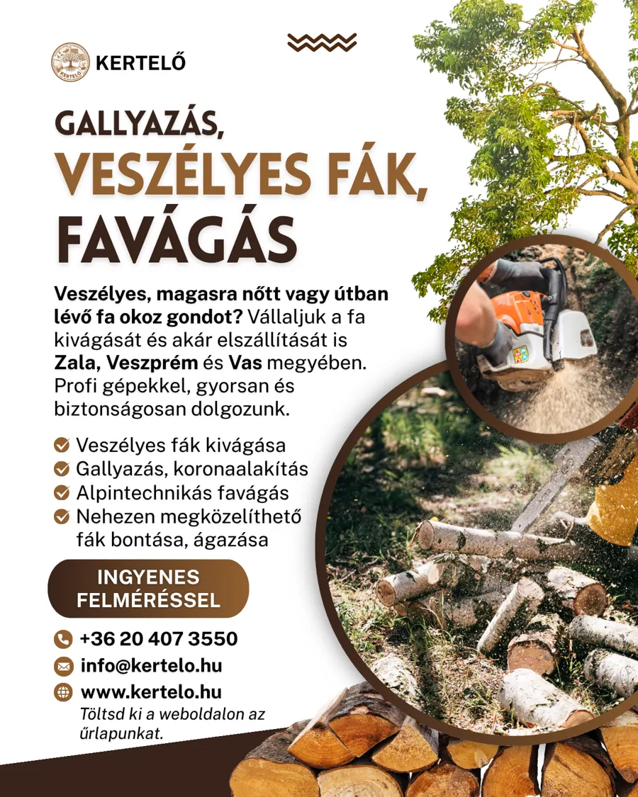Plakát · Favágás, gallyazás és veszélyes fák eltávolítása